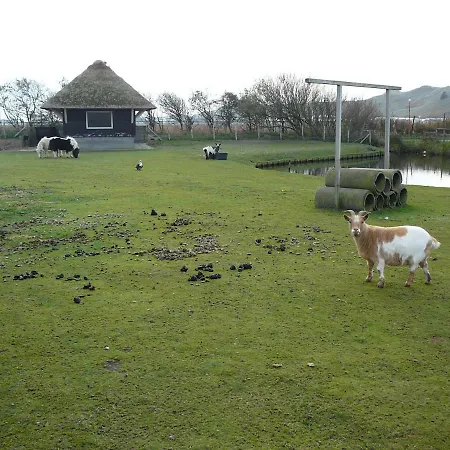 Strandslag Zanddijk 229 Aan Zee 公寓