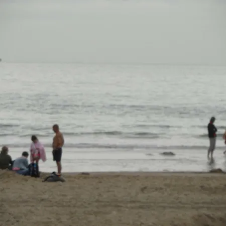 Strandslag Zanddijk 229 Aan Zee Appartement *