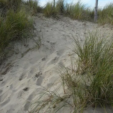 Strandslag Zanddijk 229 Aan Zee *