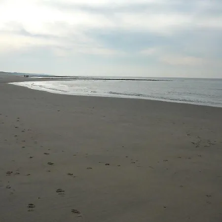Strandslag Zanddijk 229 Aan Zee