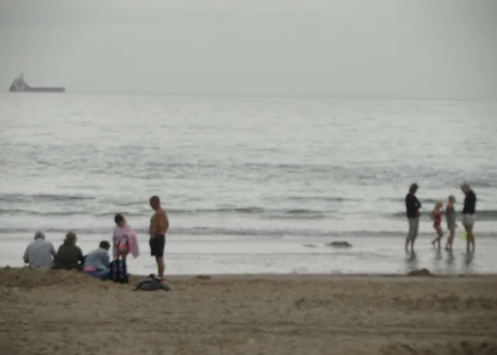 Strandslag Zanddijk 229 Aan Zee Apartment *