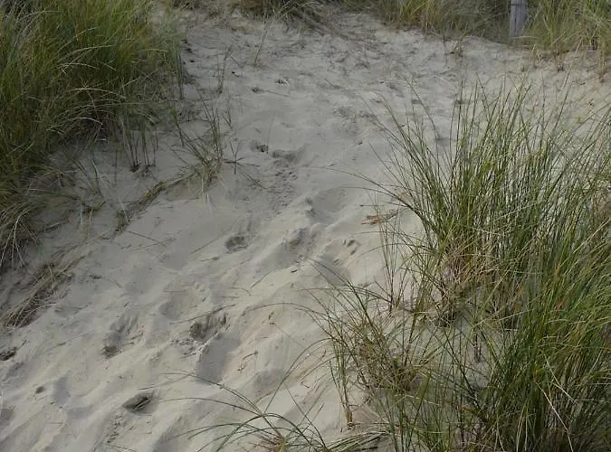 Strandslag Zanddijk 229 Aan Zee *