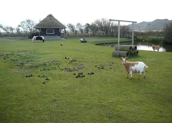 Strandslag Zanddijk 229 Aan Zee Διαμέρισμα