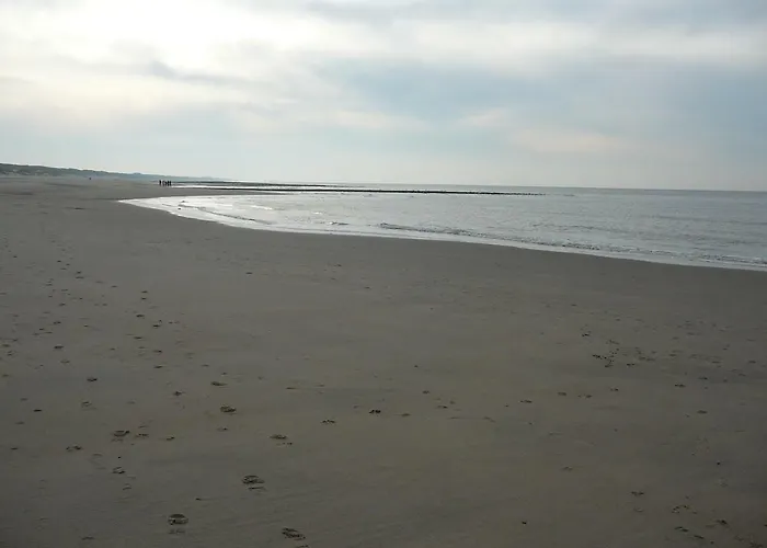 Strandslag Zanddijk 229 Aan Zee